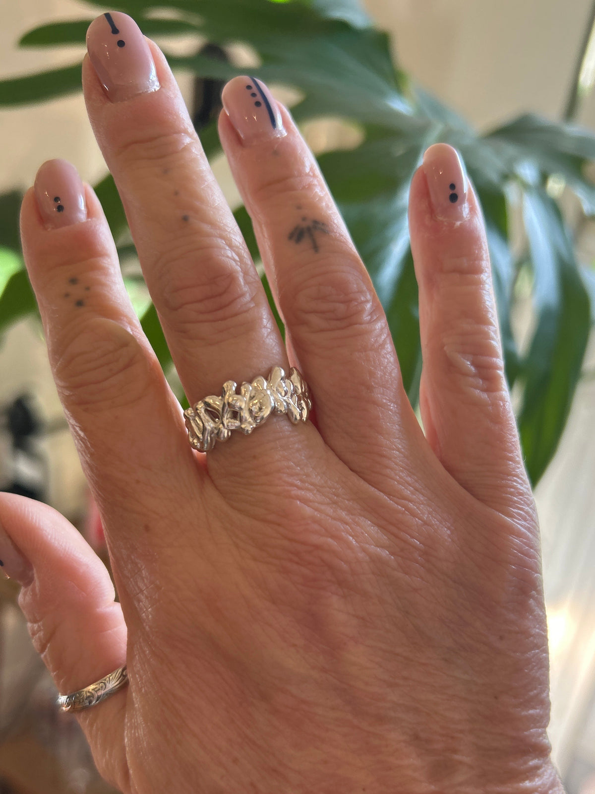 Anillo Fluid